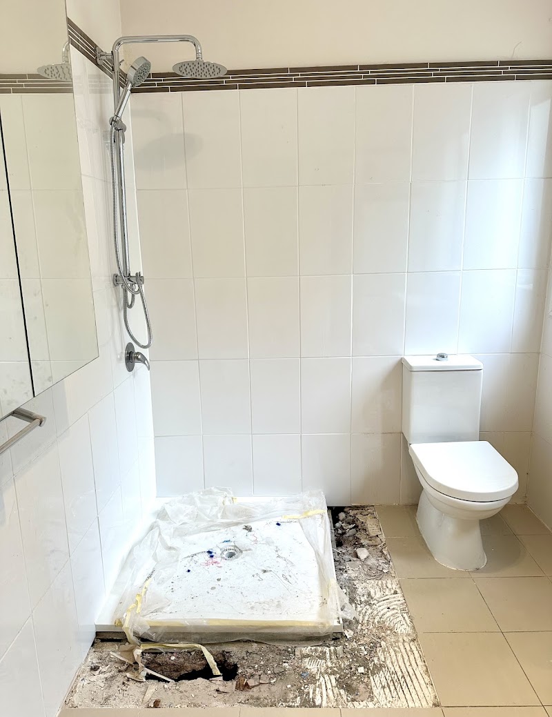 No Bathroom Renovation Needed - Master Shower Repair